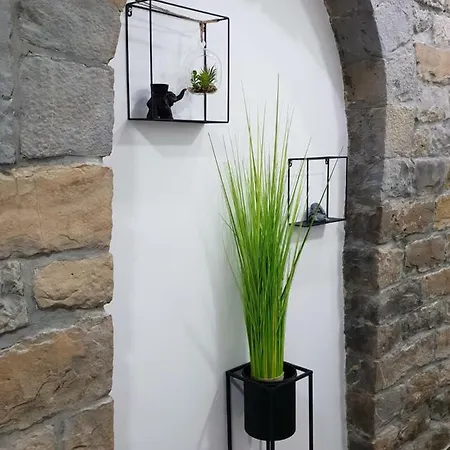 Studio Koper * Koper