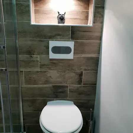 Studio Koper * Koper