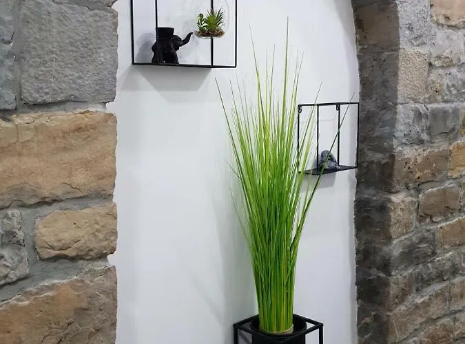 Studio Koper * コペル